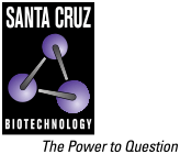 Santa Cruz Biotechnology